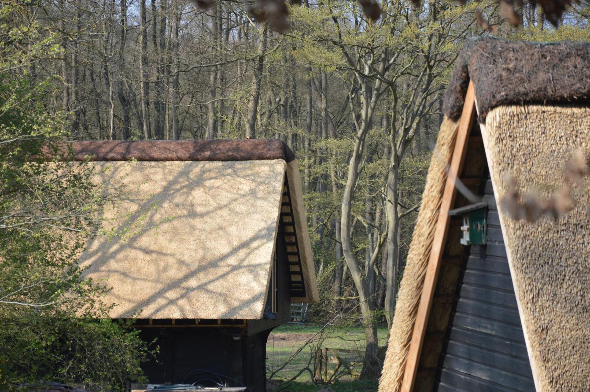 Tueschenbeker Muehle Lübeck